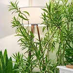 2 Min Walk To Main Square - Click For Info Appartement *