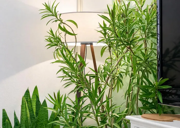 2 Min Walk To Main Square - Click For Info 아파트 *